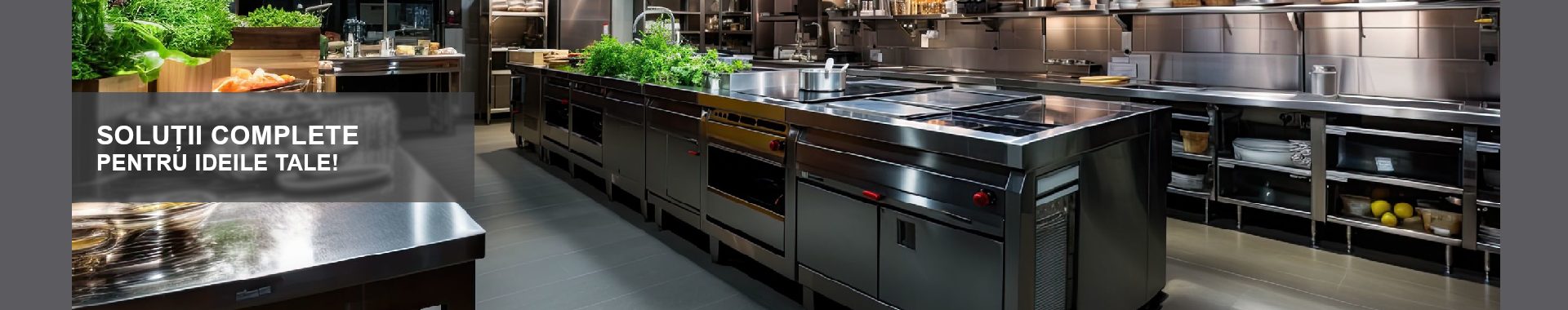 Soluții complete pentru ideile tale – Echipamente profesionale frigorifice și gastronomice TC Romania