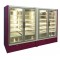 Raft congelare  FR 1250 GD