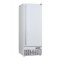Frigider  Dulap frigorific (alb)  TC 600SDWH (J-600 SD)