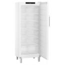 Freezer cabinet | FFFsg 6501 Performance