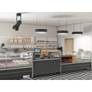 LCCT Catania REM 2,5 - Refrigerated counter with telescopic front glass