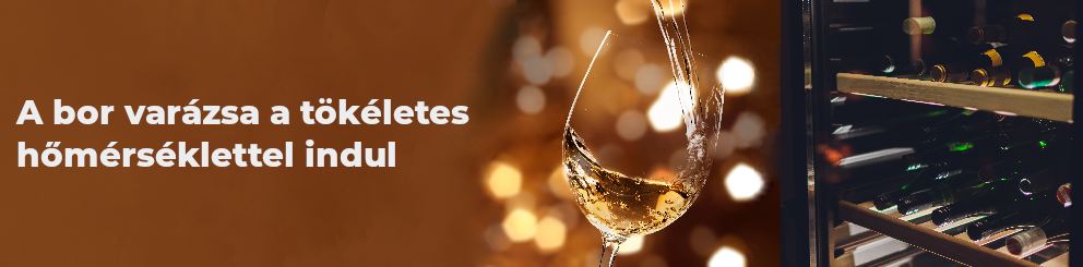 TC sörhűtők és sörtornyok